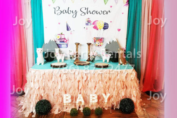 Baby Shower V10